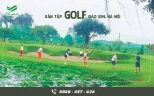 san-tap-golf-dao-sen-ha-noi