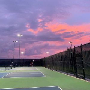 Lưới quây sân Pickleball chất lượng