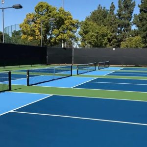 Thiết kế sân Pickleball chuyên nghiệp